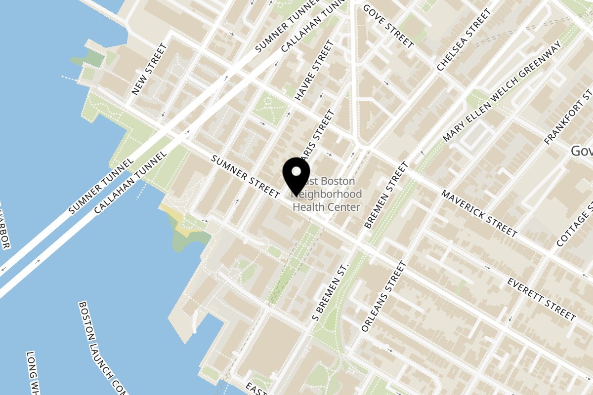 Map showing the location of Los Alebrijes Mexican Restaurant on 192 Sumner St in Boston